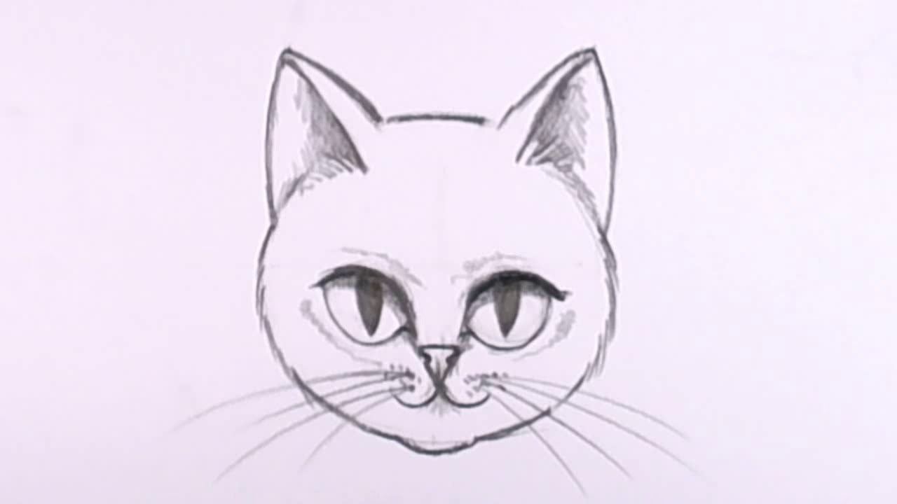 Cute Cat Face Drawing at PaintingValley.com | Explore collection of ...