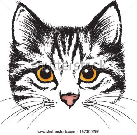 450x444 Cat Face Sketch Images - Cute Cat Face Drawing