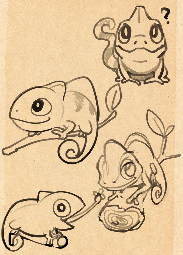 600x835 Chameleon Sketch - Cute Chameleon Drawings
