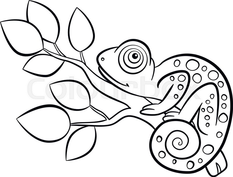 800x610 Coloring Pages Wild Animals Little Stock Vector Colourbox - Cute Chameleon Drawings