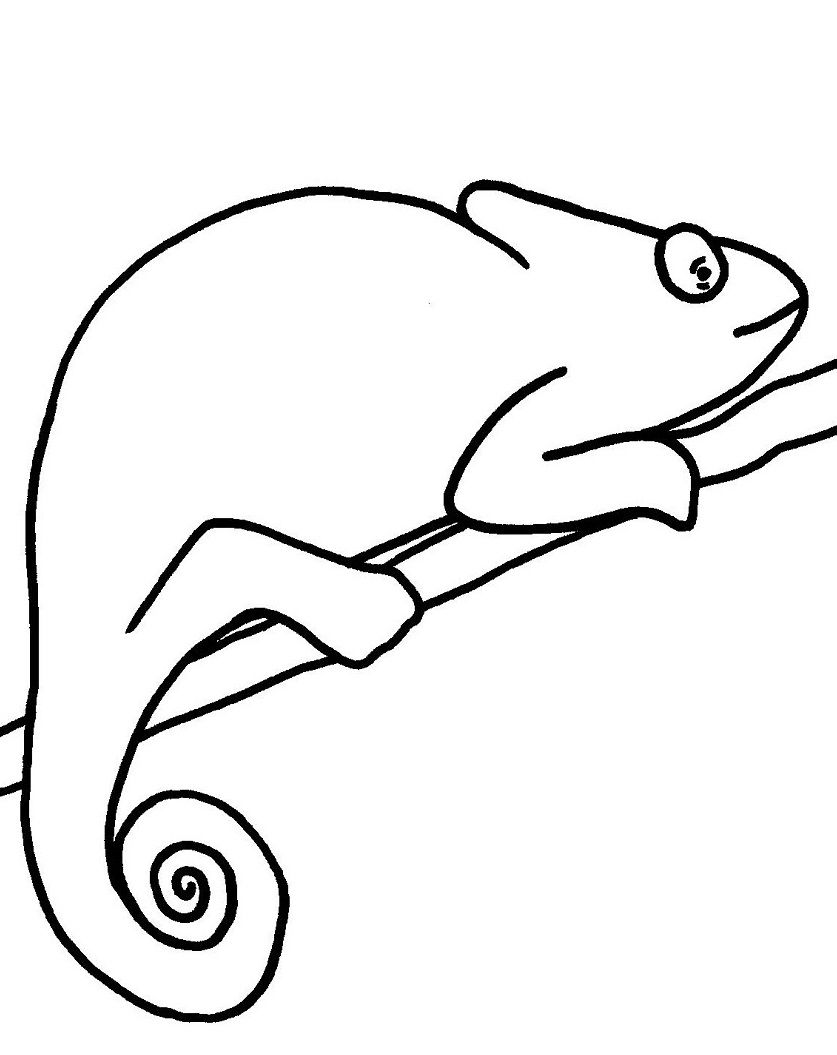 837x1055 Cute Chameleon Coloring - Cute Chameleon Drawings