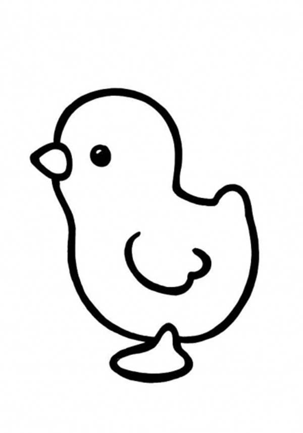 Cute Baby Chicken Coloring Pages Coloring Pages