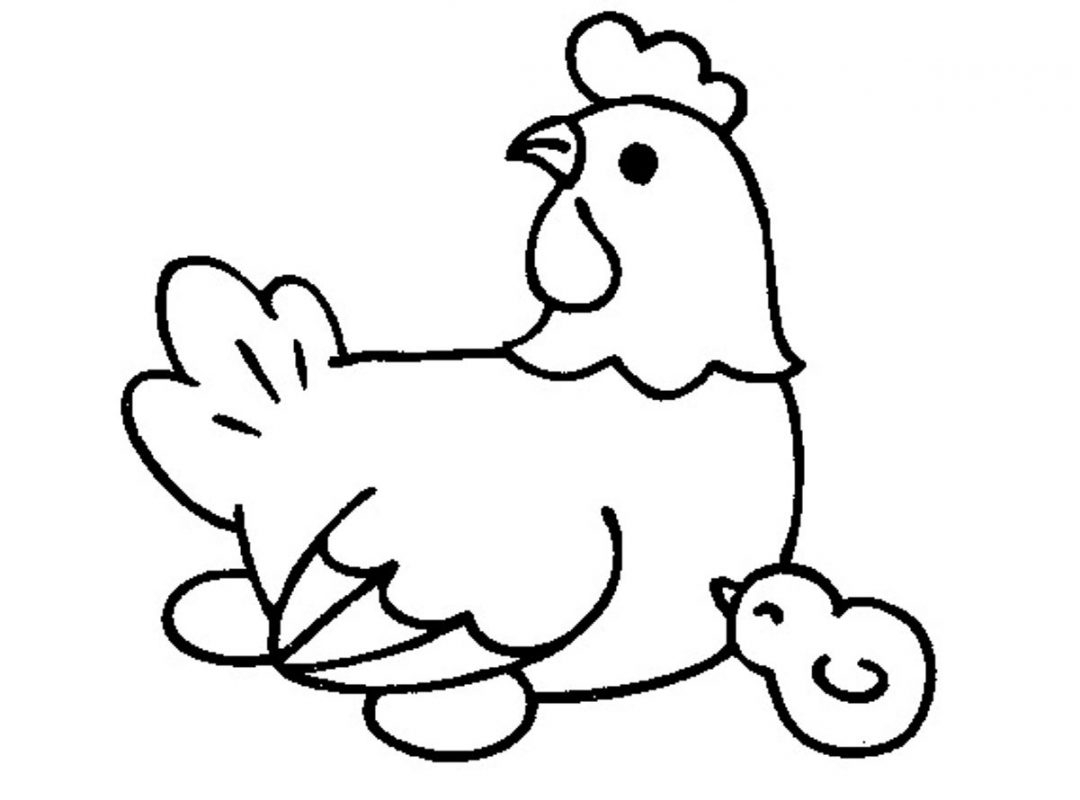1080x800 cute chicken drawing cute chicken drawing at getdrawings free - Cute Chicken Drawing