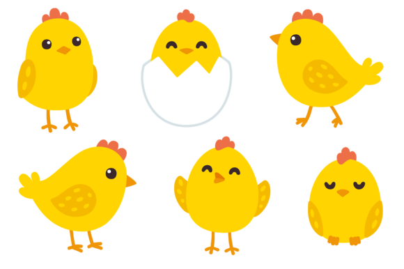 580x386 Cute Baby Chicken Set Illustrator Designs - Cute Chicken Drawing