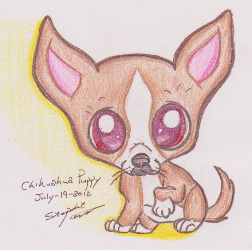 820x812 Chihuahua Puppy Drawing - Cute Chihuahua Drawing