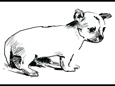 480x360 Coloring Pages Online Unblocked For Adults Halloween Cat Cute - Cute Chihuahua Drawing