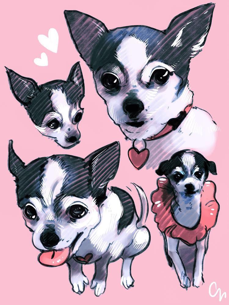 Cute Chihuahua Drawing at Explore collection of