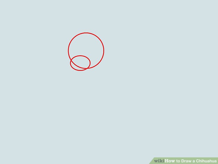 728x546 How To Draw A Chihuahua - Cute Chihuahua Drawing