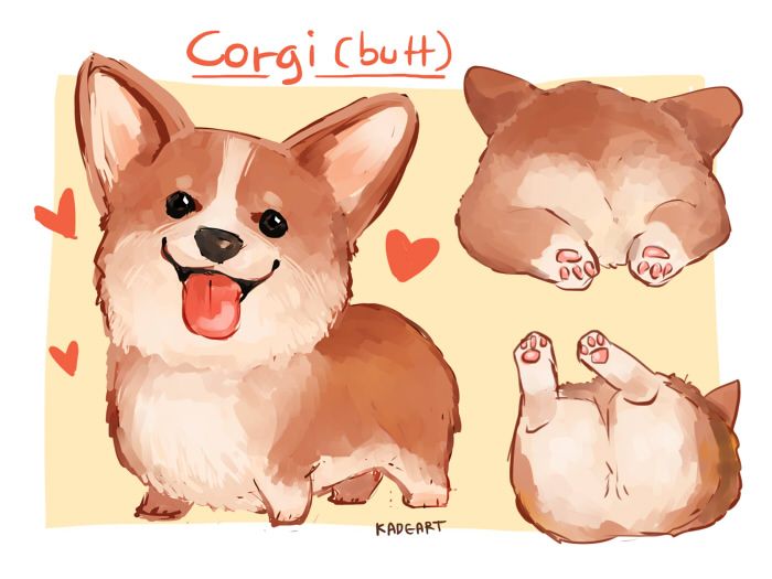700x525 corgi drawings rdjism when i have a trouble drawing corgi and butt - Cute Corgi Drawing