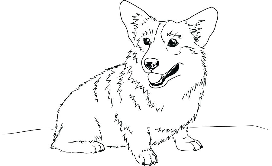 900x552 Corgi Drawing Cute For Free Download - Cute Corgi Drawing