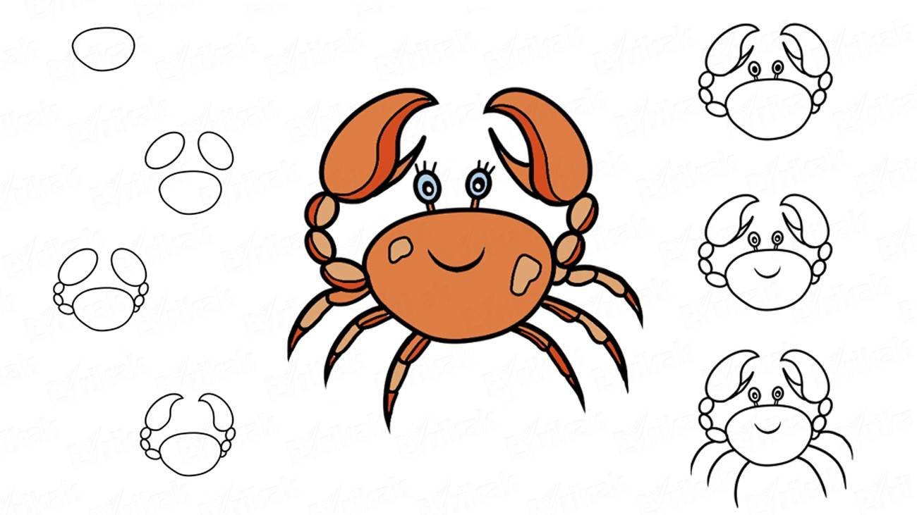 1300x731 Learning How To Draw A Crab - Cute Crab Drawing
