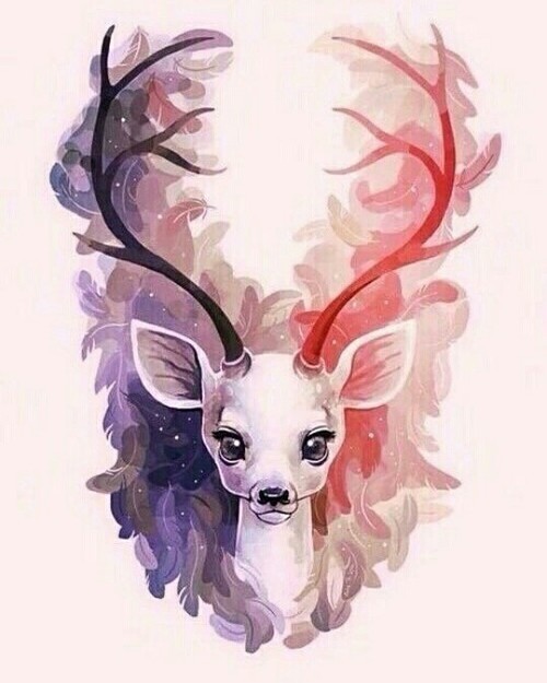 500x625 Nature Is Stunning! Shared - Cute Deer Drawing