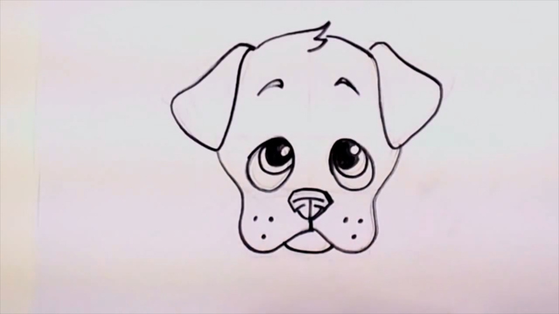 800x450 How To Draw A Cute Husky Dog - Cute Dog Anime Drawing