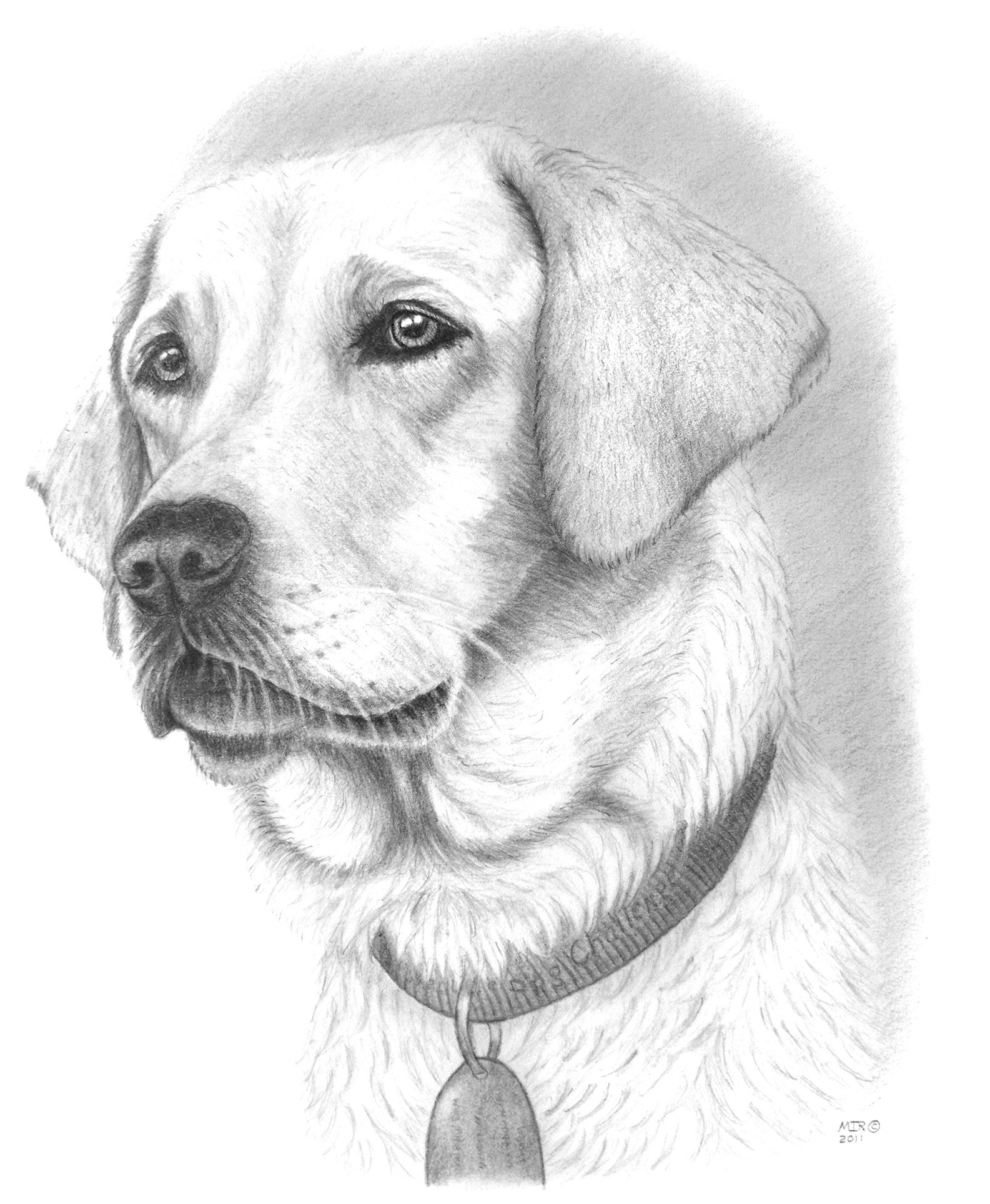 Cute Dog Drawing