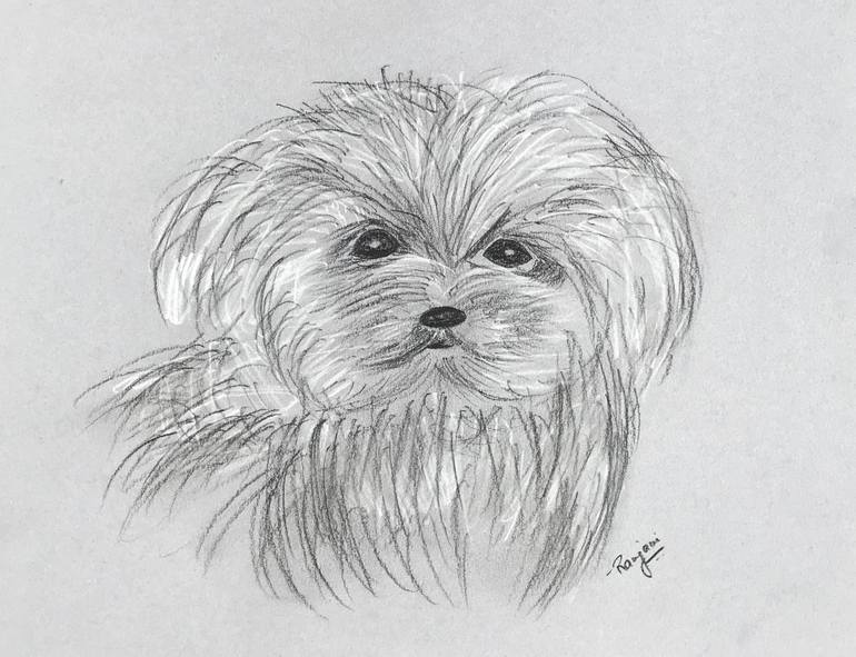 770x591 Cute Dog Drawing - Cute Dog Drawing
