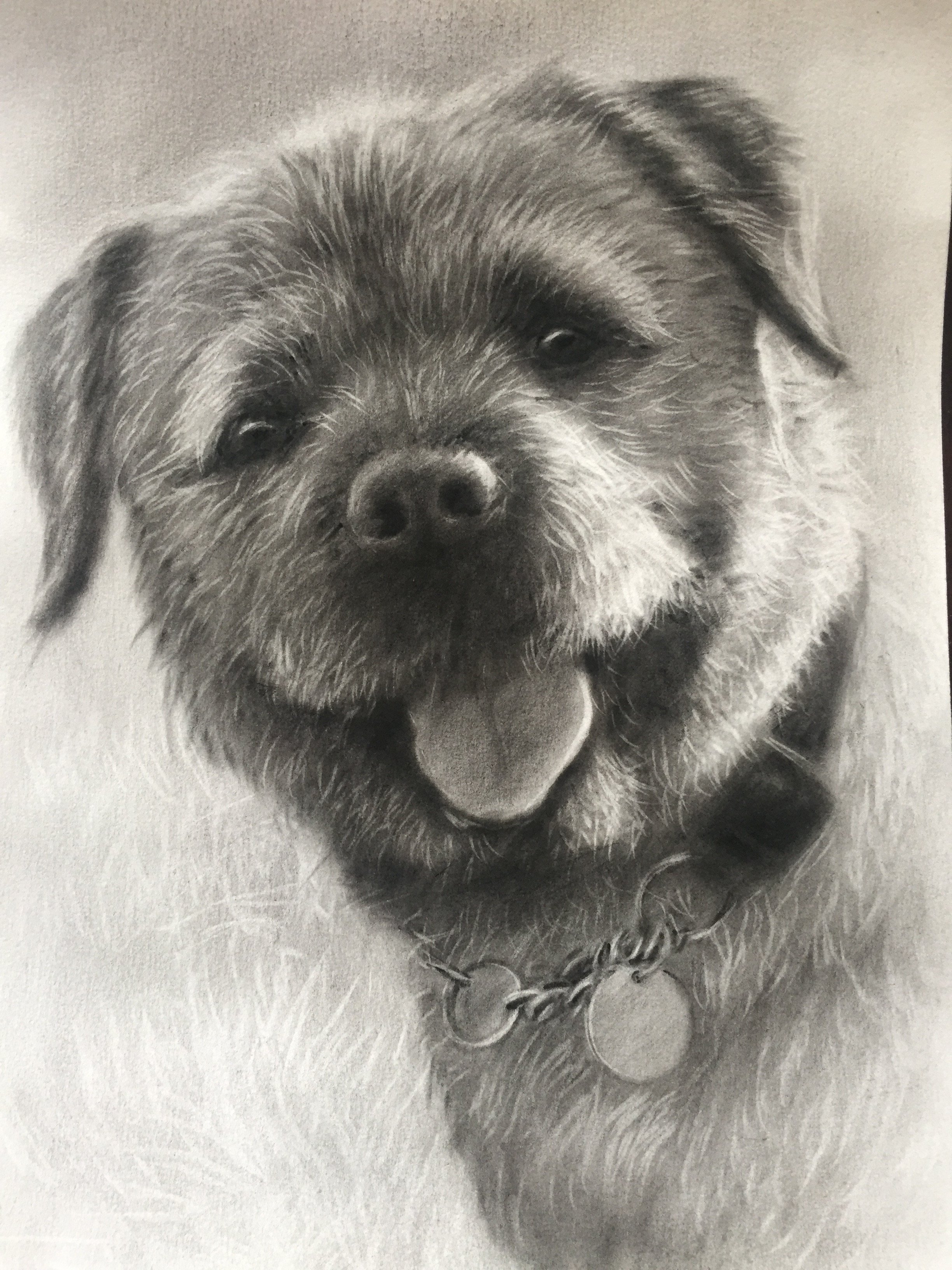 Cute Dog Drawing at PaintingValley.com | Explore collection of Cute Dog ...