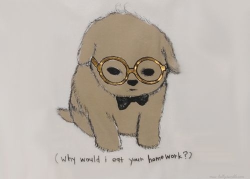 500x358 art, bowtie, cute, dog, drawing - Cute Dog Drawing