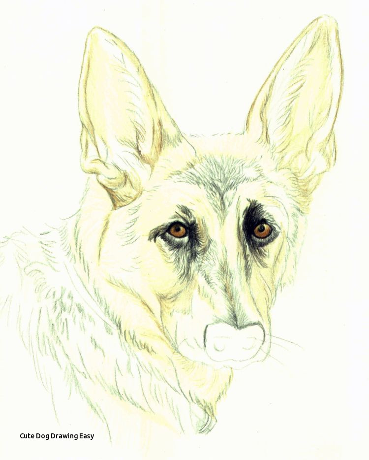 750x934 Cute Dog Drawing Easy Drawing Lesson A German Shepherd In Colored - Cute Dog Drawing