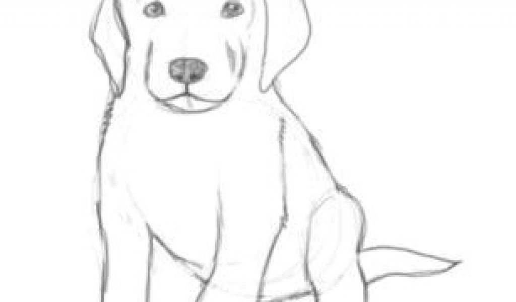 Cute Dog Drawing Easy at Explore collection of