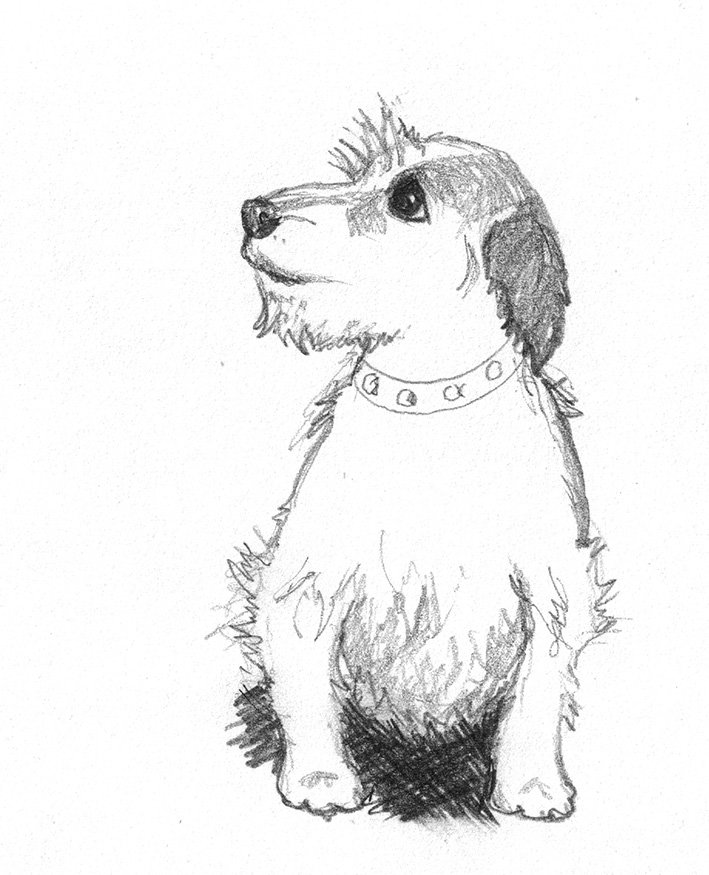 709x875 Dog Sketches - Cute Dog Drawing Easy