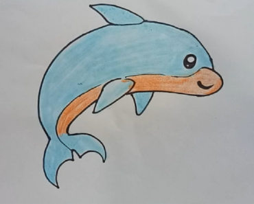 370x297 How To Draw A Cartoon Dolphin Cute Archives - Cute Dolphin Drawing