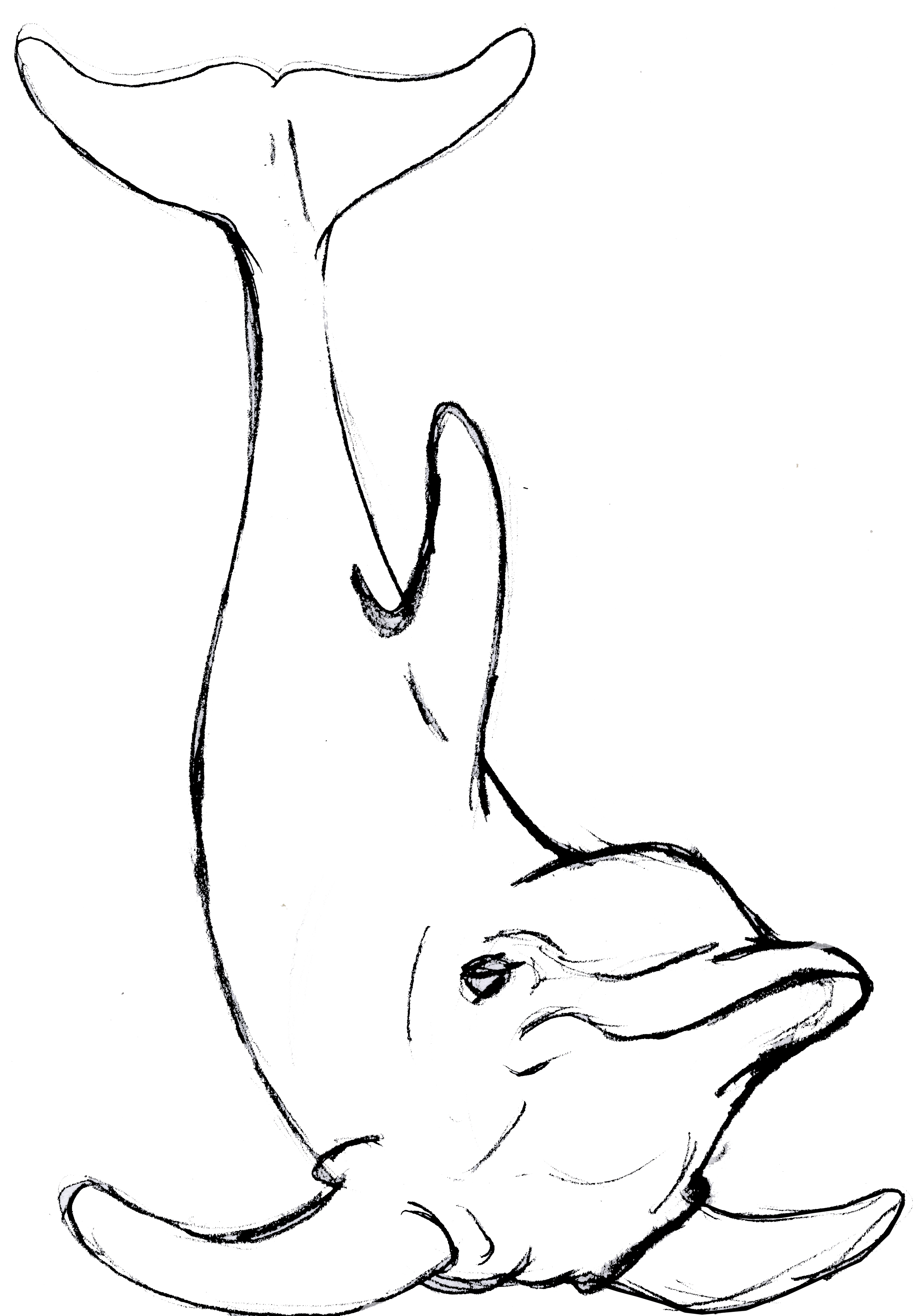 3171x4570 Cute Dolphin Drawing - Cute Dolphin Drawing