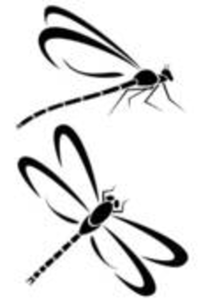 402x600 Dragonflies Free Images - Cute Dragonfly Drawing