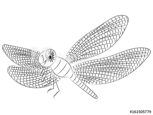 500x375 hand drawn funny dragonfly children drawing of cute insect - Cute Dragonfly Drawing