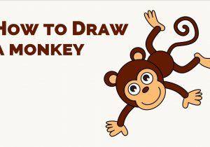 300x210 easy drawings of monkeys cute drawing of a monkey at getdrawings - Cute Drawing Of A Monkey