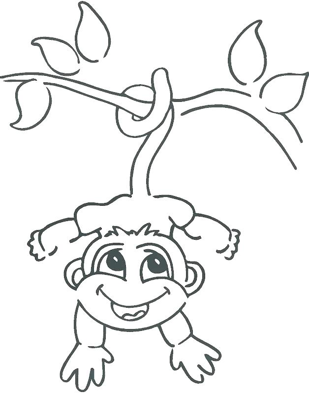 628x798 easy monkey drawing drawing of a monkey cute drawings of monkeys - Cute Drawing Of A Monkey