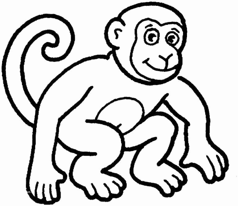 770x667 Coloring Pages Of A Monkey Beautiful Cute Monkey Coloring Pages - Cute Drawing Of A Monkey