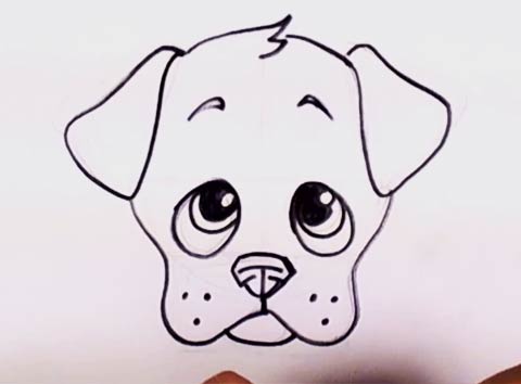 480x354 How To Draw A Puppy Face - Cute Drawing Of A Puppy