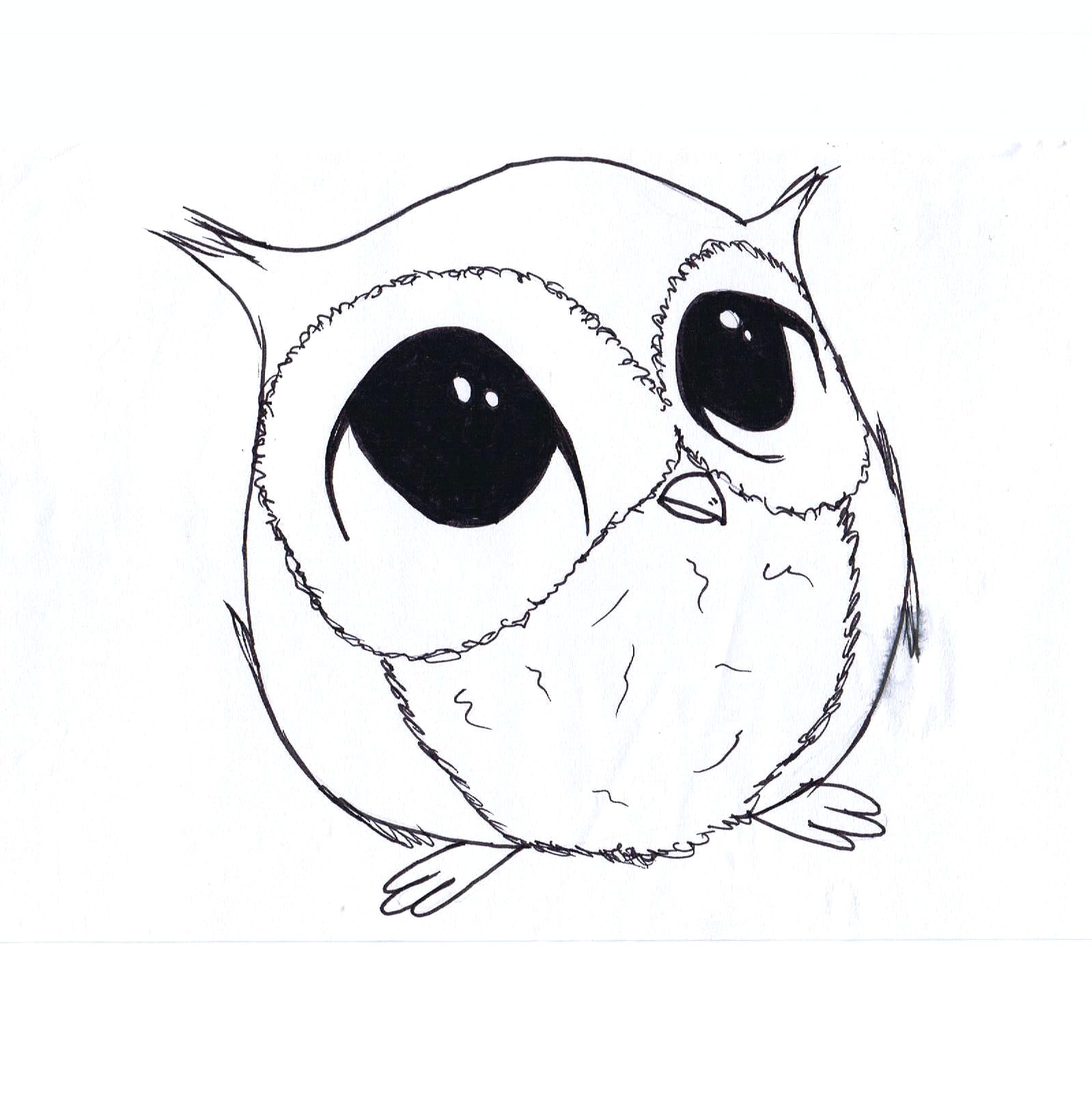 1599x1600 Cute Owl Drawings For Kids - Cute Drawings For Kids