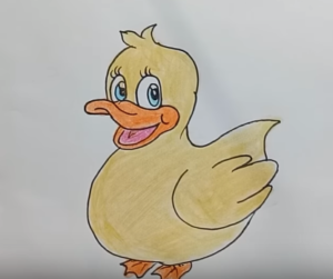Cartoon Duckling Cute Duck ~ cycling