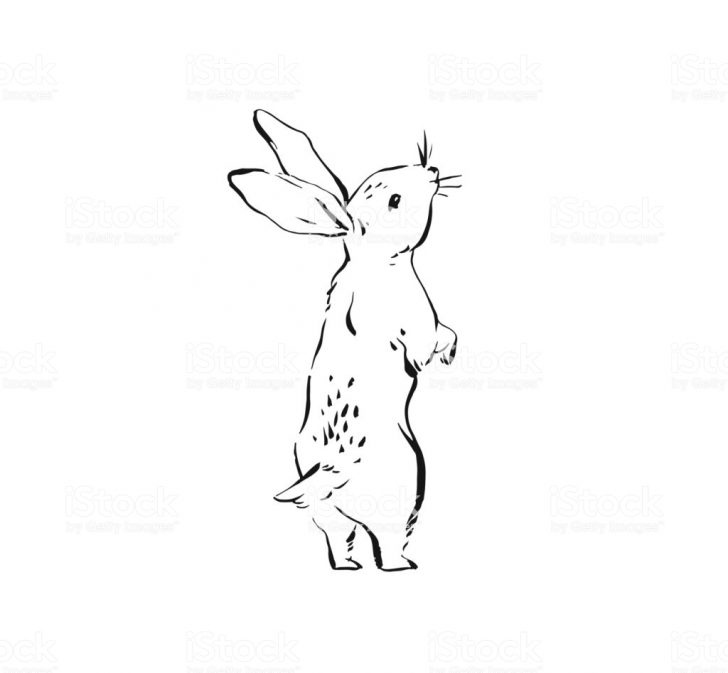 728x673 easter bunny easy to draw drawing have a happy easter bunny - Cute Easter Bunny Drawing