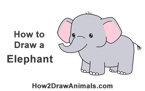 500x315 How To Draw A Elephant - Cute Elephant Drawing