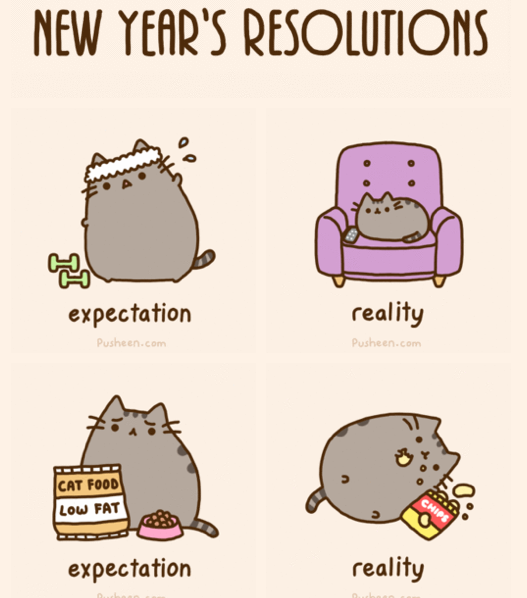 527x598 how to draw a fat cat - Cute Fat Cat Drawing