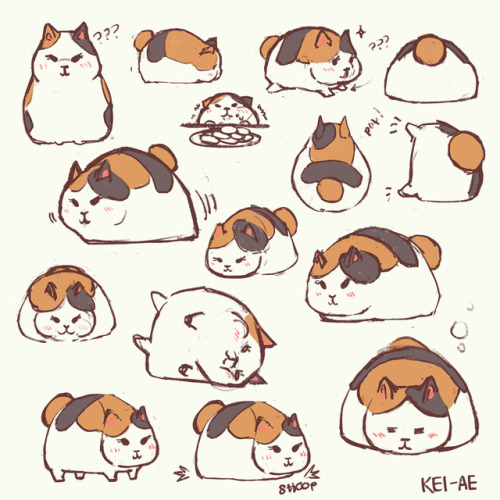 Cute Fat Cat Drawing at Explore collection of Cute