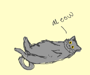 300x250 a cute fat cat drawing - Cute Fat Cat Drawing