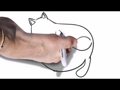 480x360 Amazing - Cute Fat Cat Drawing