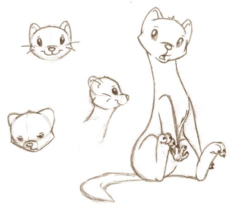 466x417 draco the ferret sketches - Cute Ferret Drawing