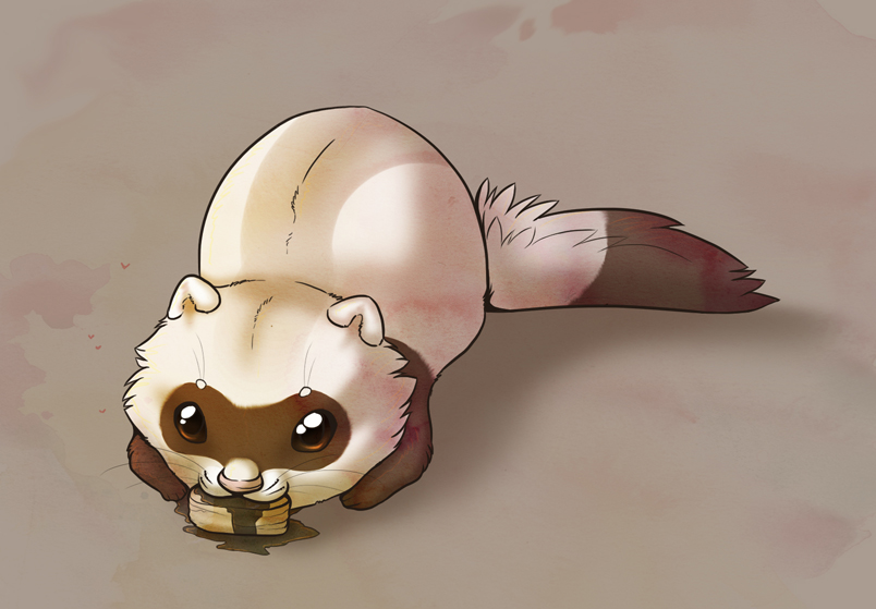 804x559 ferret's thanksgiving - Cute Ferret Drawing