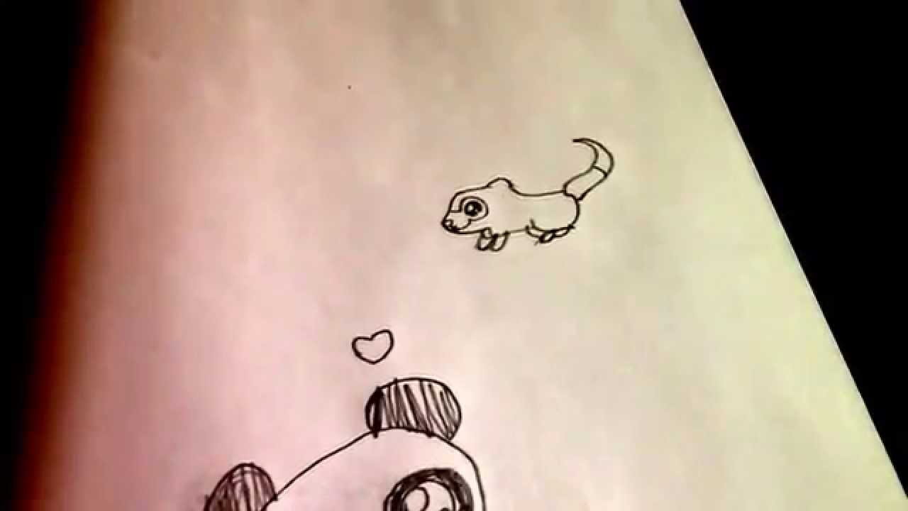 1280x720 how to draw a cute ferret - Cute Ferret Drawing
