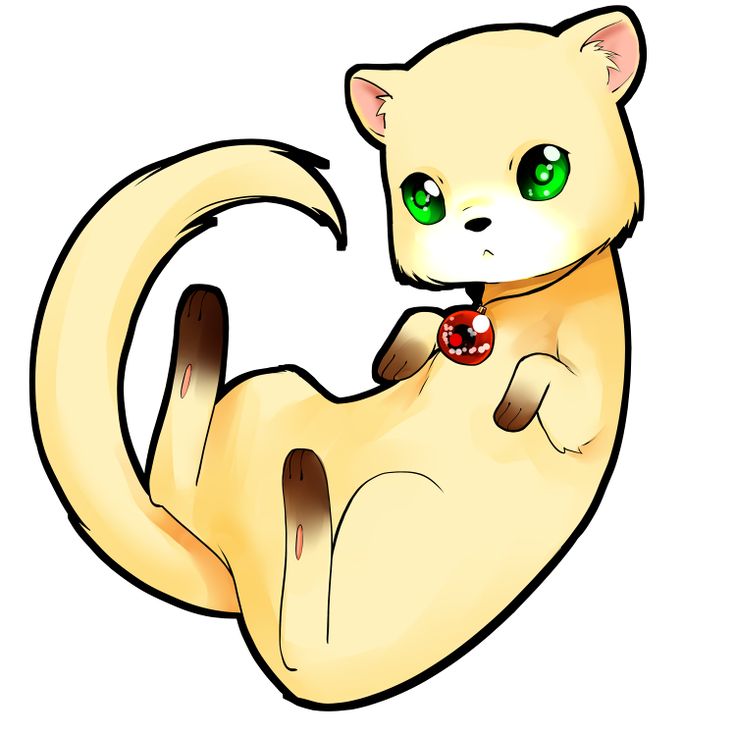 736x736 anime ferret ferret pencil sketch - Cute Ferret Drawing