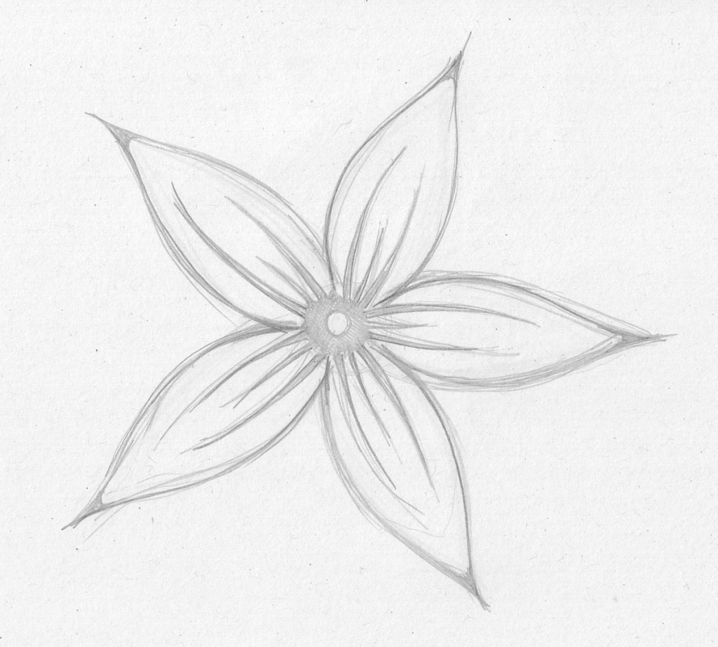 25+ Best Looking For Simple Easy Beautiful Drawings Of Flowers Mindy