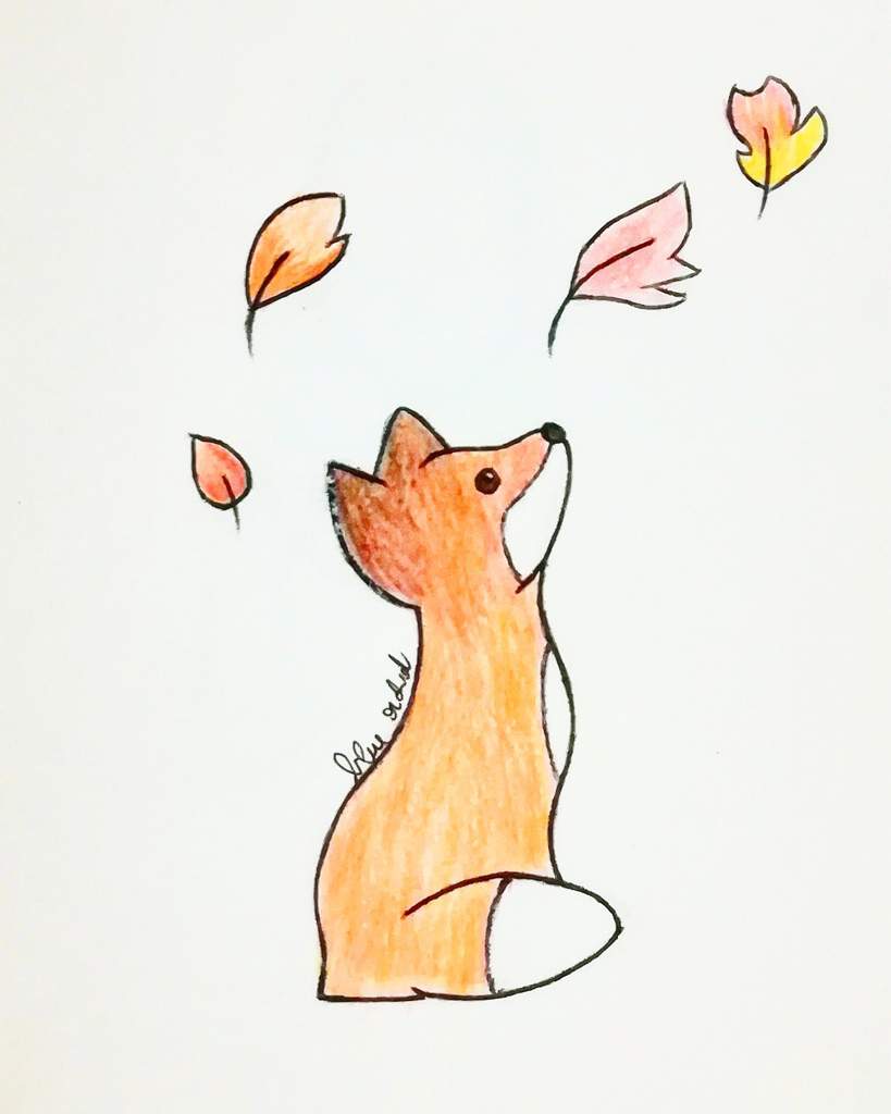 Cute Fox Drawing at PaintingValley.com | Explore collection of Cute Fox