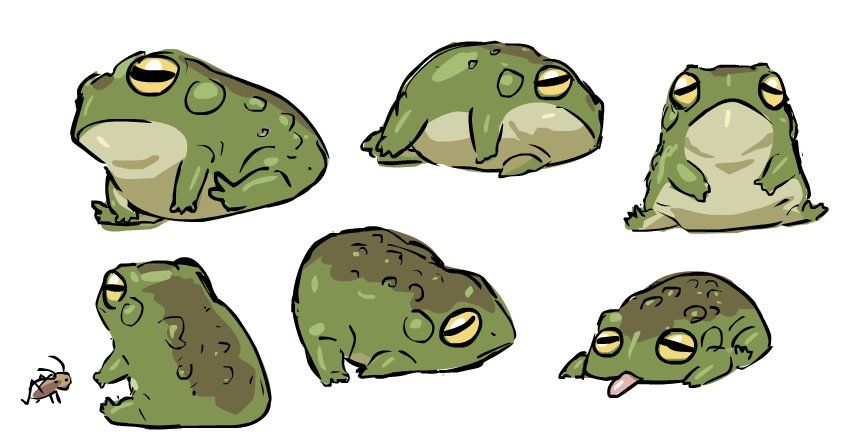 frog sketch cute