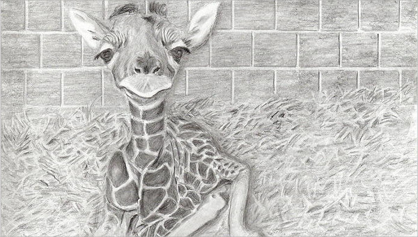 Cute Giraffe Drawing