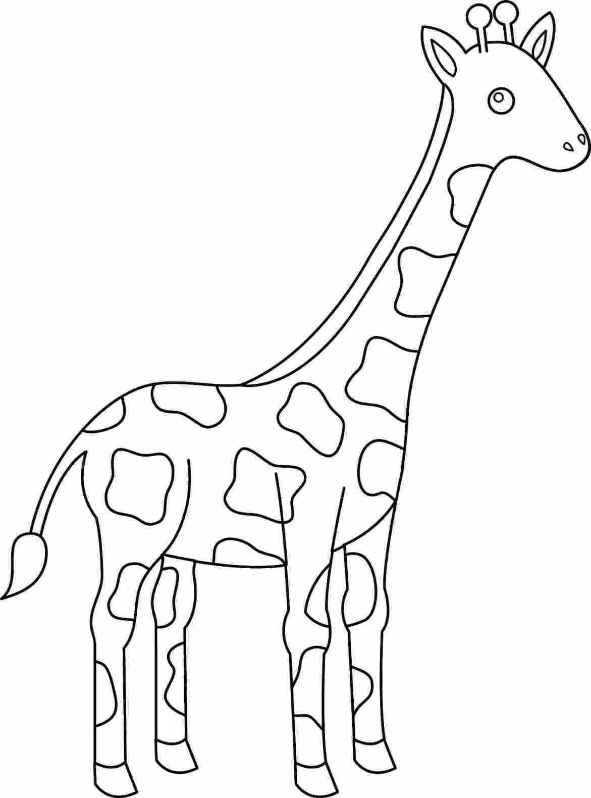 1171x1580 j shape in rhhowtodrawcom logo original animal badge editable - Cute Giraffe Drawing Tumblr