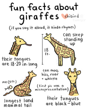 299x378 Tumblr - Cute Giraffe Drawing Tumblr